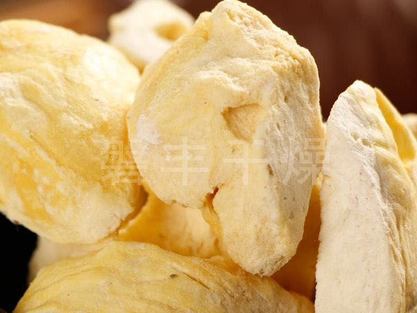 榴蓮凍干機